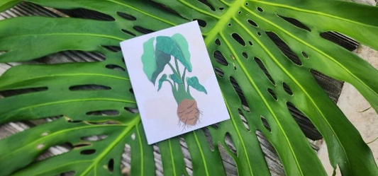 Flat Note Cards (Set of 4) image 2