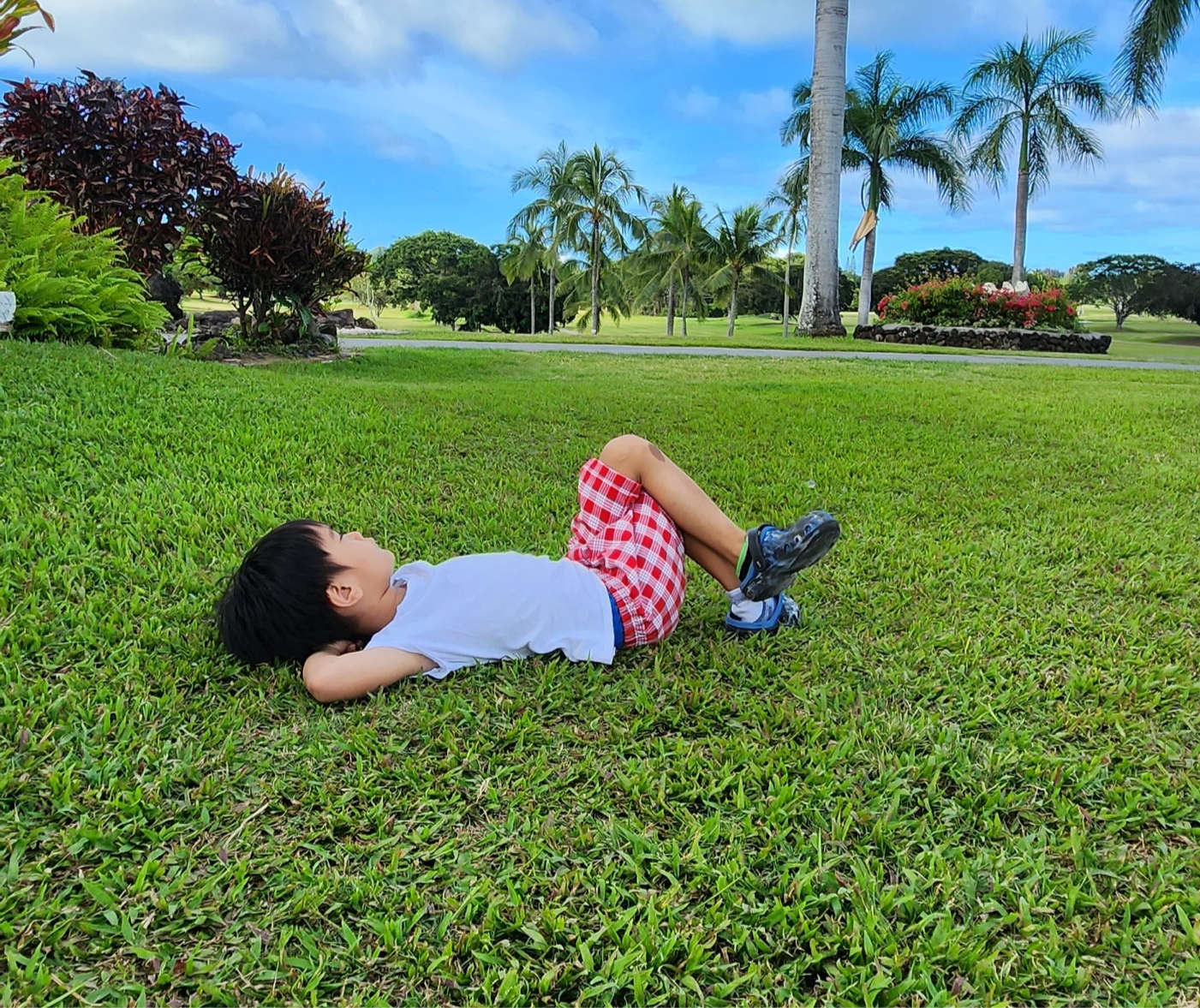 Palaka Shorts image 0